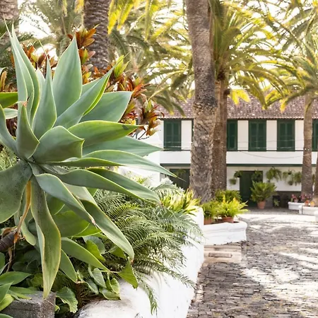 El Patio