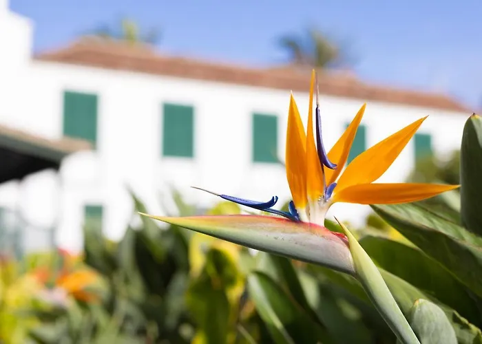 El Patio Hotel Garachico (Tenerife)