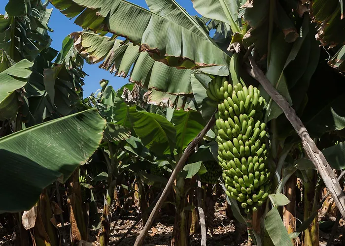 Hotel El Patio Garachico (Tenerife)