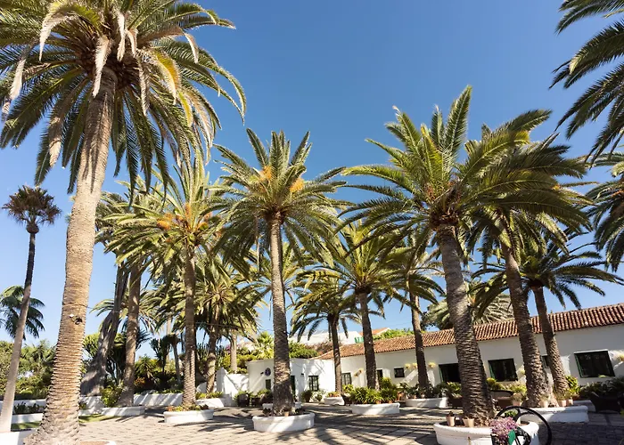 El Patio ガラチコ