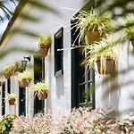 El Patio