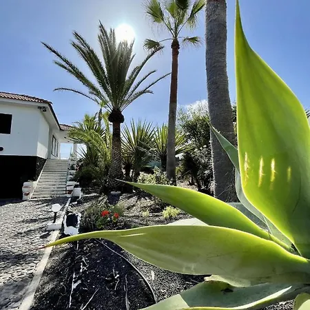 El Patio