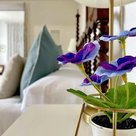 El Patio 4* גרצ'יקו