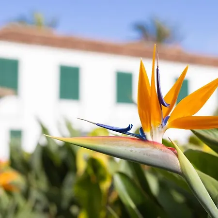 El Patio Hotel Garachico (Tenerife)