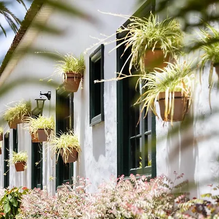 El Patio